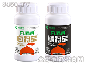 �ڰ׌�܊-ؐ�G��-�B�TȪ�r(n��ng)