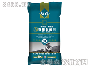 10�|�S���ᡤ�ЙC̼΢�������-�ɵ�