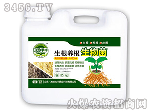 �����B(y��ng)�������-��@���S-���S�ʘI(y��)