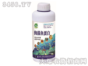 �����~����-��@���S-���S�ʘI(y��) 