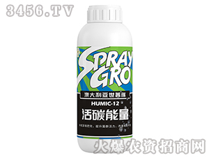 ��̼����-����