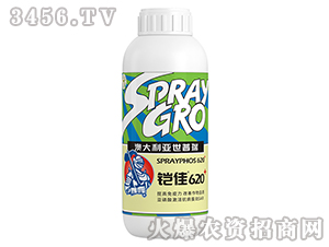 �z��620-����