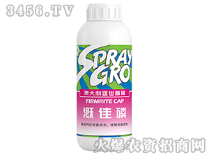 �ȼ���-����