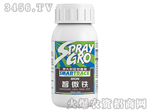 ��΢�F-����