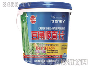 �����ֱ�L-��@���S-���S�ʘI(y��)