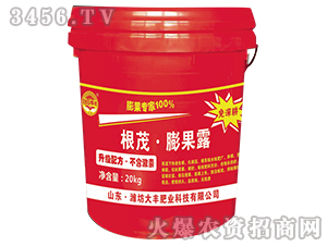 ��ï�����¶-��@���S-���S�ʘI(y��)