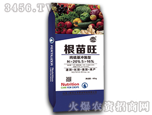 ������-��@���S-���S�ʘI(y��)