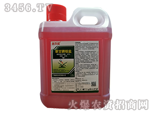 30%�ݸ���@�}ˮ��-�B����-����_