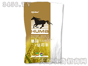 �ڬ�-�ؿ��S-�S(li��n)�r(n��ng)�I(y��)