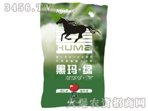 ���t����(zhu��n)��ˮ�ܷ�-�ڬ�-�G181818+TE-�S(li��n)�r(n��ng)�I(y��)