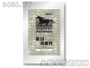 ��ֲ���ЙC�}��-�ڬ���΢̼�}-�S(li��n)�r(n��ng)�I(y��) 