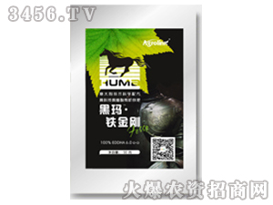 ��ֲ���ЙC(j��)���-�ڬ����F����-�S(li��n)�r(n��ng)�I(y��)