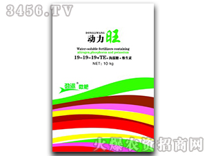 ����Ԫ��ˮ�ܷ���19-19-19+TE-��(d��ng)����-�������