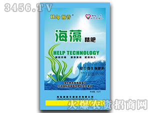 ���徫��-�������