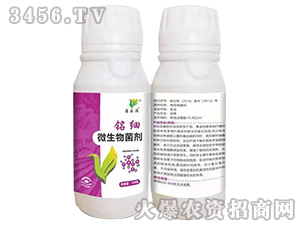 ΢�������-㑼�(x��)