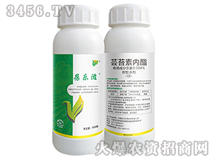 �|̦�؃�(n��i)��-�ᘷ(l��)�̣�ƿ��-��ֲ���A