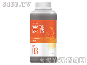 ����-�r(n��ng)��3̖-�·�����