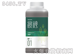 �~��-�r(n��ng)��1̖-�·�����