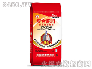 �ͺϷ���17-22-6-���ȩ���-�G��