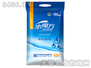 ˮħ��20-20-20+TE-�G��