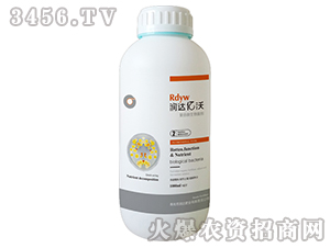 ��(f��)��΢�������-���_(d��)�|��2̖(h��o)-���_(d��)�ʘI(y��)