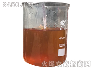 �}��Q�أ�Ч���D��-����-��������