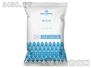 ������5-12-38+TE-ʩ����-�к̄���