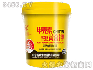 �ך���-�����S���-��������