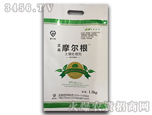 ����̎�턩-Ħ����