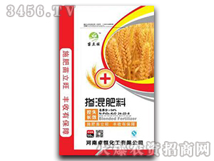 С���������-������-׿Ⱥ����