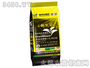 ��(f��)��΢�������-������5�|/�ˣ�-�F�컯