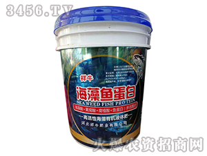 �����~���כ_ʩ��-��ţ�ʘI(y��)