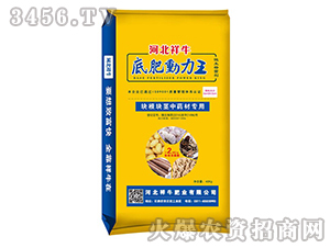 �K���K�o��ˎ�Č��÷�-�׷ʄ�����-��ţ�ʘI(y��)