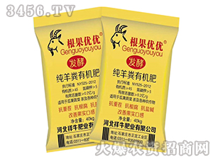 ����S�ЙC(j��)����-������(y��u)��(y��u)-��ţ�ʘI(y��)