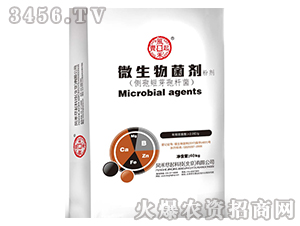 ΢��������ۄ�-�L(f��ng)�̱M��