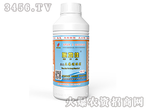 1000g�}�A�����{(di��o)�턩-ʩ�ؼ�-�A�����B(t��i)