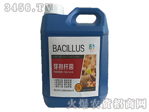 ѿ�ߗU����Ȼ�l(f��)��΢�������-�ٺ�����