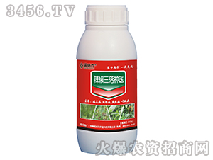 �����������t(y��)-�Z����