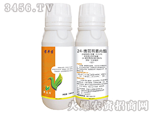 24���|̦�؃�(n��i)����500ml��-̦�S��-��ֲ���A