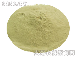 ���w���������Ч��-��������