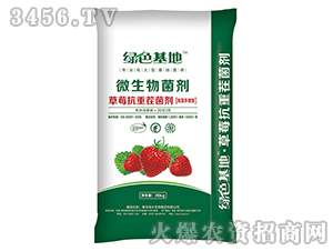 ��ݮ���ز����-�Gɫ����-��������