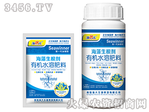 ����������-����Ԫ-��������