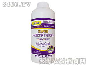 �p���}�V-����Ԫ-��������