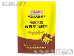 500g�����-����Ԫ-��������