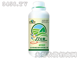 13Ԫ��-��������ˮ�ܷ���-��������