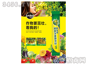 ��������I�B(y��ng)��-��ˇ��