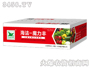 ����Ԫ��ˮ�ܷ���-����ħ���S-�������H