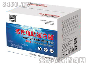 ���ϻ����~�ĵ��׾�-�������H