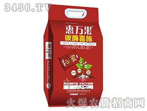 ̼øϲʩ-���f��-������