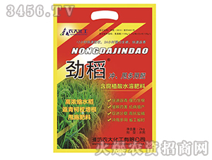 ����ֲ��ˮ�ܷ���-�ŵ�-�r(n��ng)�󻯹�